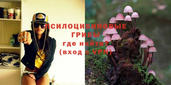 mix Белокуриха