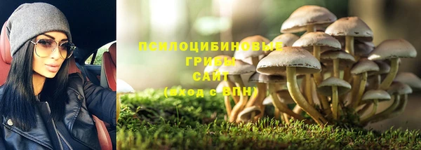 mix Белокуриха