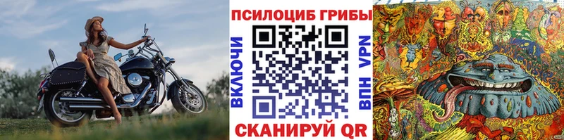 Галлюциногенные грибы Psilocybe  цены наркотик  mega рабочий сайт  дарк нет телеграм  Володарск 