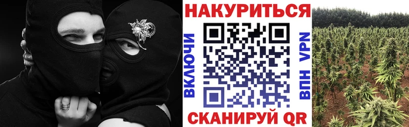 кракен ССЫЛКА Володарск Шишки марихуана тримм